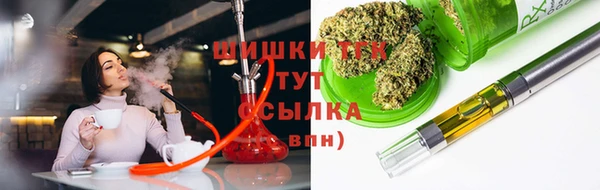 эйфоретик Аркадак