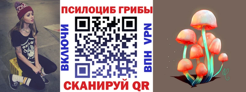как найти закладки  Лосино-Петровский  Галлюциногенные грибы Psilocybine cubensis 